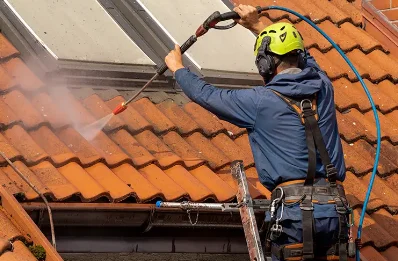 Démoussage et hydrofuge de toiture à Bertheauville
